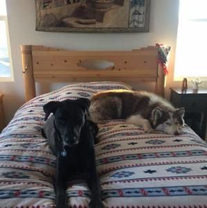 Meet your Posher, Judy